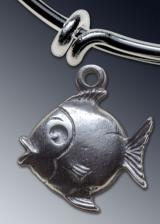 Fish charm