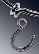 Horse Shoe charm