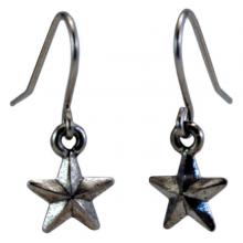 Small Star Earrings