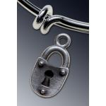 Lock charm